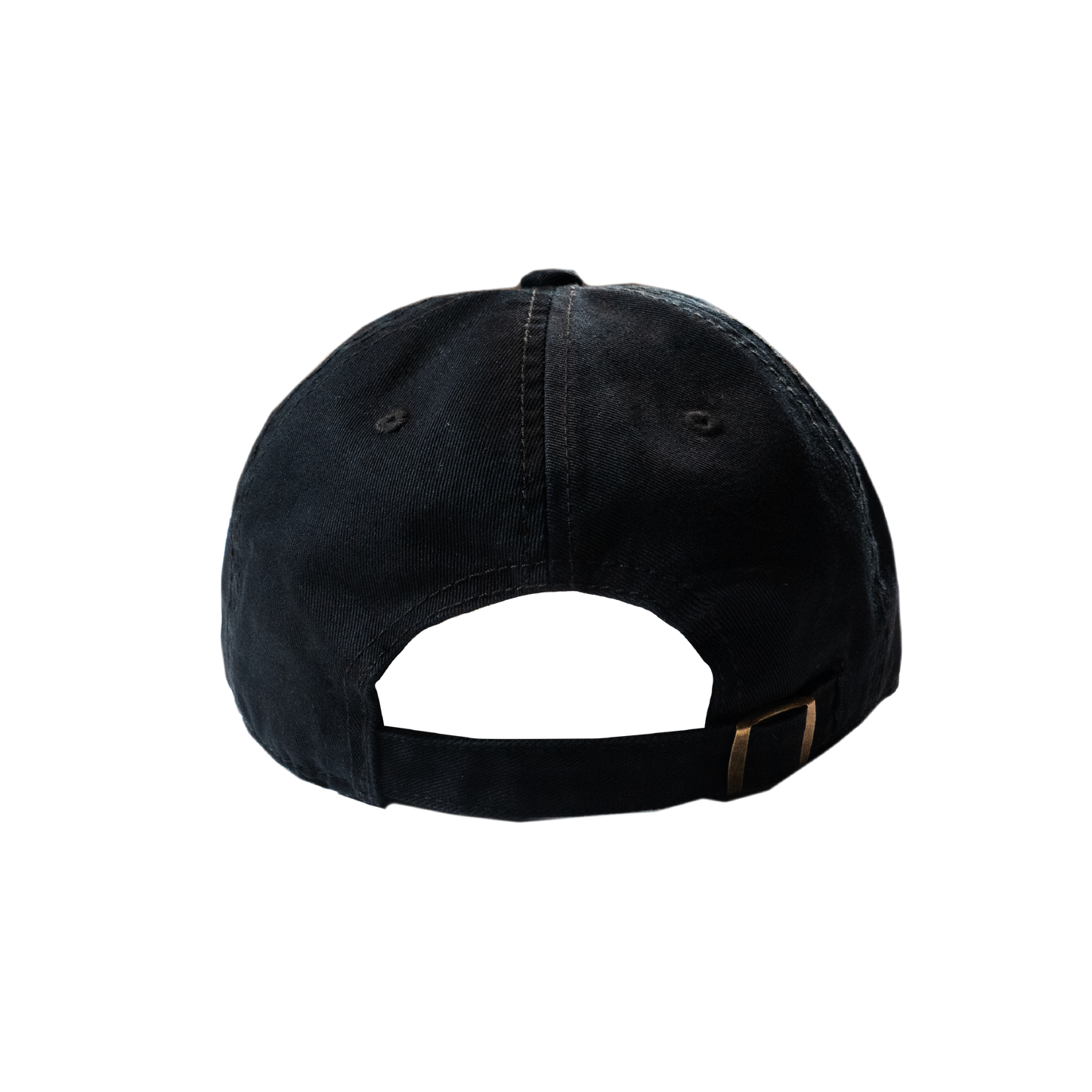 COZY TEXT LOGO CAP"24"