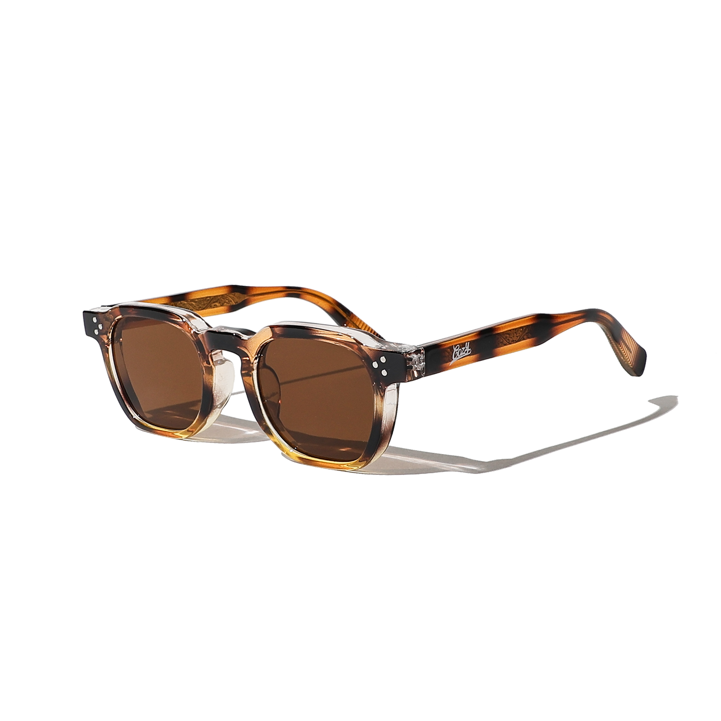 COZY “2025” Sunglasses