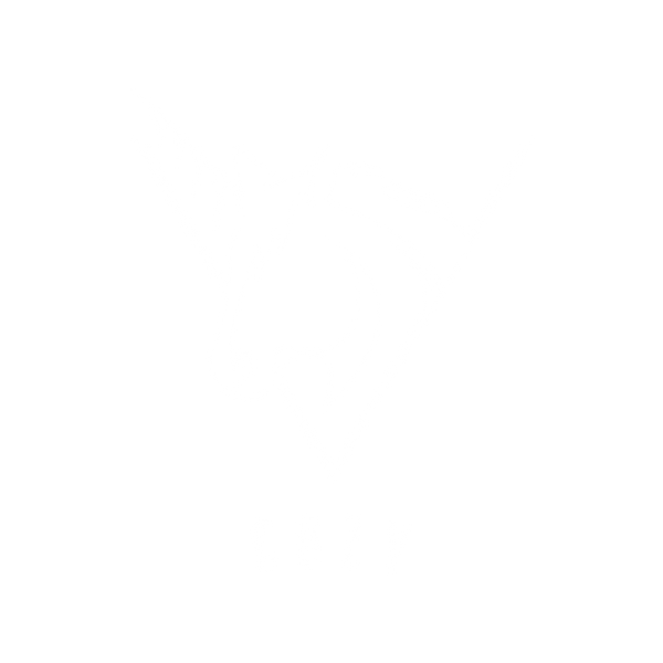 COZY(コージー)